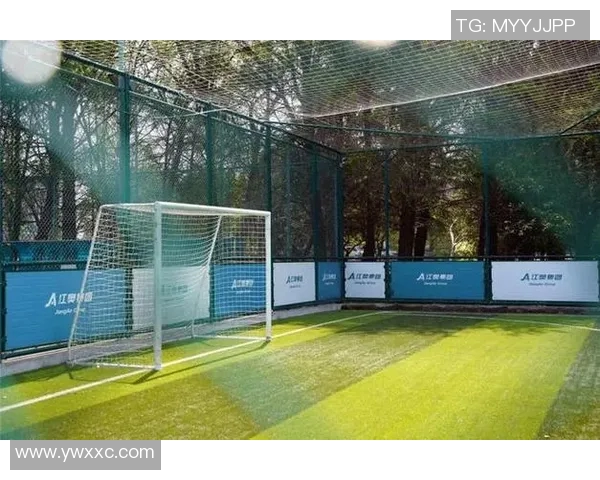 足球场球星打卡地探秘：这些地方让你感受足球魅力与明星光环